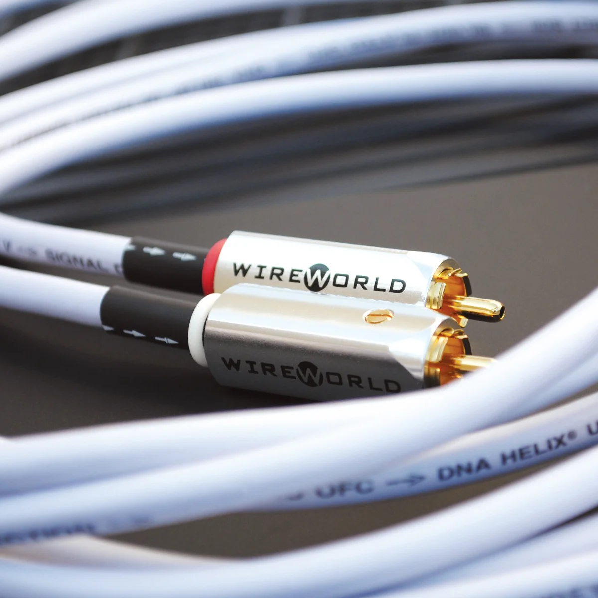 WireWorld Solstice 10 RCA