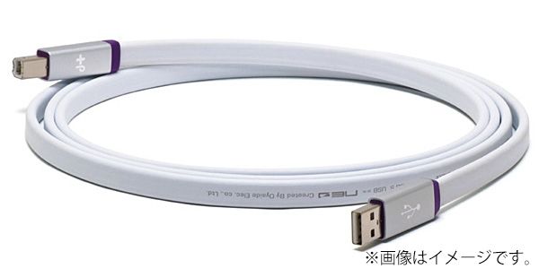 NEO by OYAIDE Elec d+ USB class S rev.2 USBケーブル