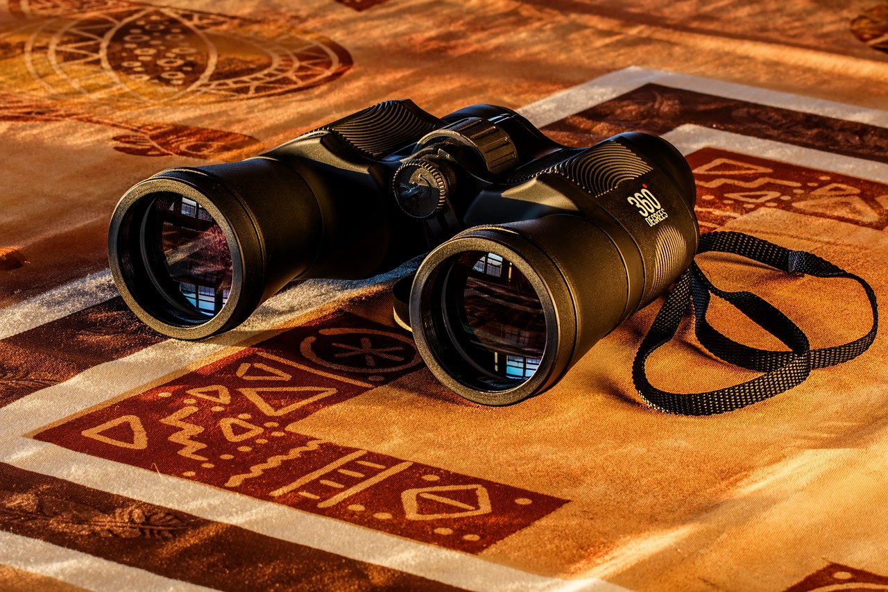 binoculars-auction-search