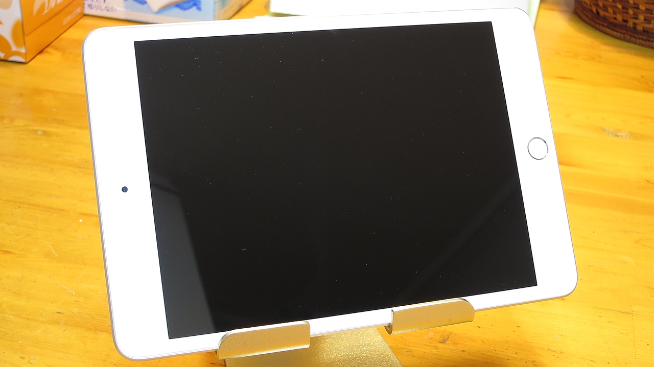 2019 第5世代iPad mini無印 液晶保護パネル装着済