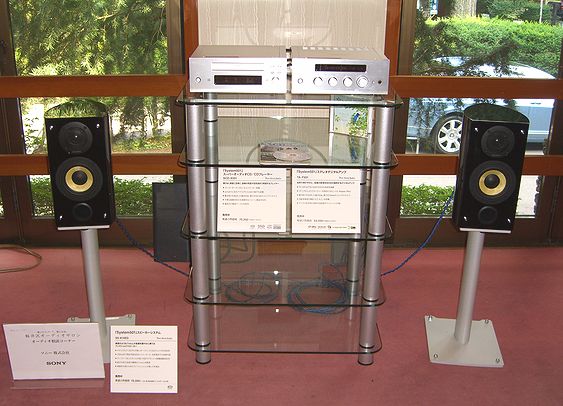 SONY System501